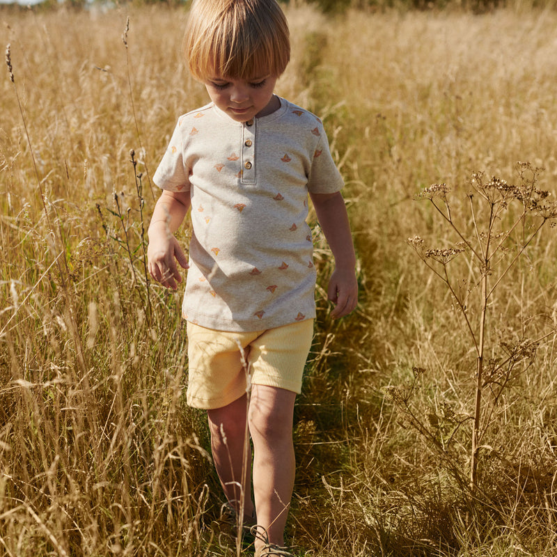 Dreng i korte bukser og kortærmet T-shirt fra Popirol. Drengen går i græsmark på en solrig dag. 